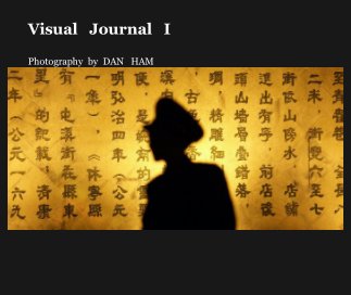 Visual   Journal   I book cover